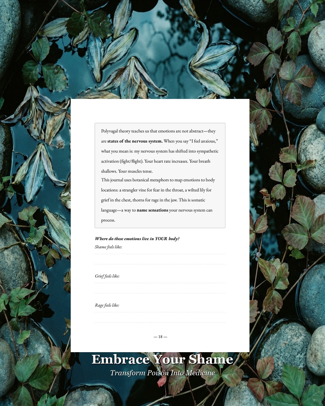 Art Nouveau Botanical Illustrations